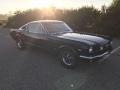 Midnight Blue - Mustang Fastback Photo No. 4