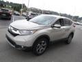 Sandstorm Metallic - CR-V EX-L AWD Photo No. 6