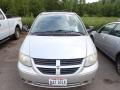 Bright Silver Metallic - Grand Caravan SXT Photo No. 4
