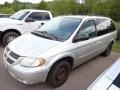 Bright Silver Metallic - Grand Caravan SXT Photo No. 5