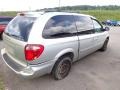 Bright Silver Metallic - Grand Caravan SXT Photo No. 10