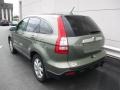 2009 Green Tea Metallic Honda CR-V EX-L 4WD  photo #3