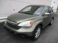 2009 Green Tea Metallic Honda CR-V EX-L 4WD  photo #9