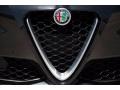 2018 Vulcano Black Metallic Alfa Romeo Giulia   photo #10