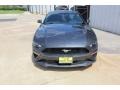 2019 Magnetic Ford Mustang EcoBoost Fastback  photo #3