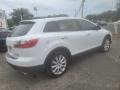 Crystal White Pearl Mica - CX-9 Sport AWD Photo No. 3