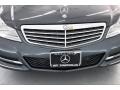 2014 Steel Grey Metallic Mercedes-Benz C 250 Luxury  photo #33