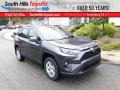 Magnetic Gray Metallic - RAV4 XLE AWD Hybrid Photo No. 1