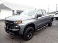 2020 Satin Steel Metallic Chevrolet Silverado 1500 Custom Trail Boss Double Cab 4x4  photo #1