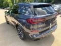 2021 Arctic Gray Metallic BMW X5 xDrive40i  photo #2