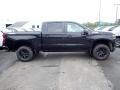 2020 Black Chevrolet Silverado 1500 Custom Trail Boss Crew Cab 4x4  photo #8