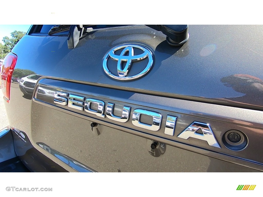 2014 Sequoia SR5 4x4 - Pyrite Mica / Sand Beige photo #10