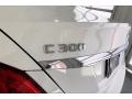 Polar White - C 300 Sedan Photo No. 27