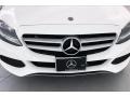 Polar White - C 300 Sedan Photo No. 33