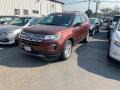 2018 Cinnamon Glaze Ford Explorer XLT 4WD  photo #2