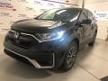 2020 Crystal Black Pearl Honda CR-V EX-L AWD  photo #1