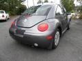Platinum Grey Metallic - New Beetle GL Coupe Photo No. 10