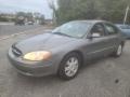2003 Arizona Beige Metallic Ford Taurus SEL  photo #6