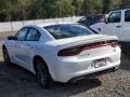White Knuckle - Charger SXT AWD Photo No. 4