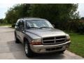 2000 Light Driftwood Satin Glow Dodge Durango SLT  photo #18