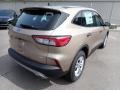 2020 Desert Gold Metallic Ford Escape S 4WD  photo #2