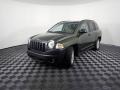 Jeep Green Metallic - Compass Sport 4x4 Photo No. 8