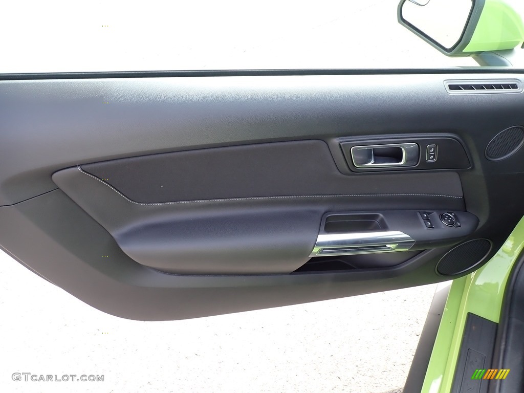 2020 Ford Mustang EcoBoost Fastback Ebony Door Panel Photo #139543935