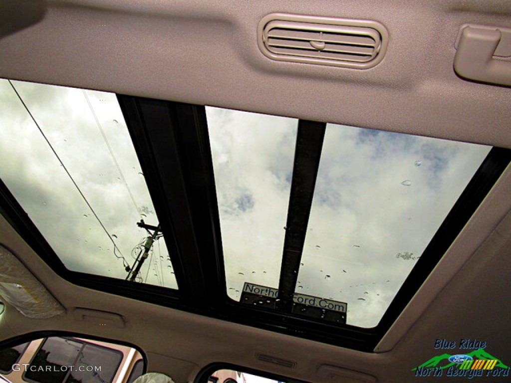 2020 Expedition Platinum Max 4x4 - Rapid Red / Medium Soft Ceramic photo #29