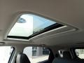 Moondust Silver Metallic - EcoSport SES 4WD Photo No. 16