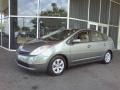 Tideland Gray Green Pearl - Prius Hybrid Photo No. 3