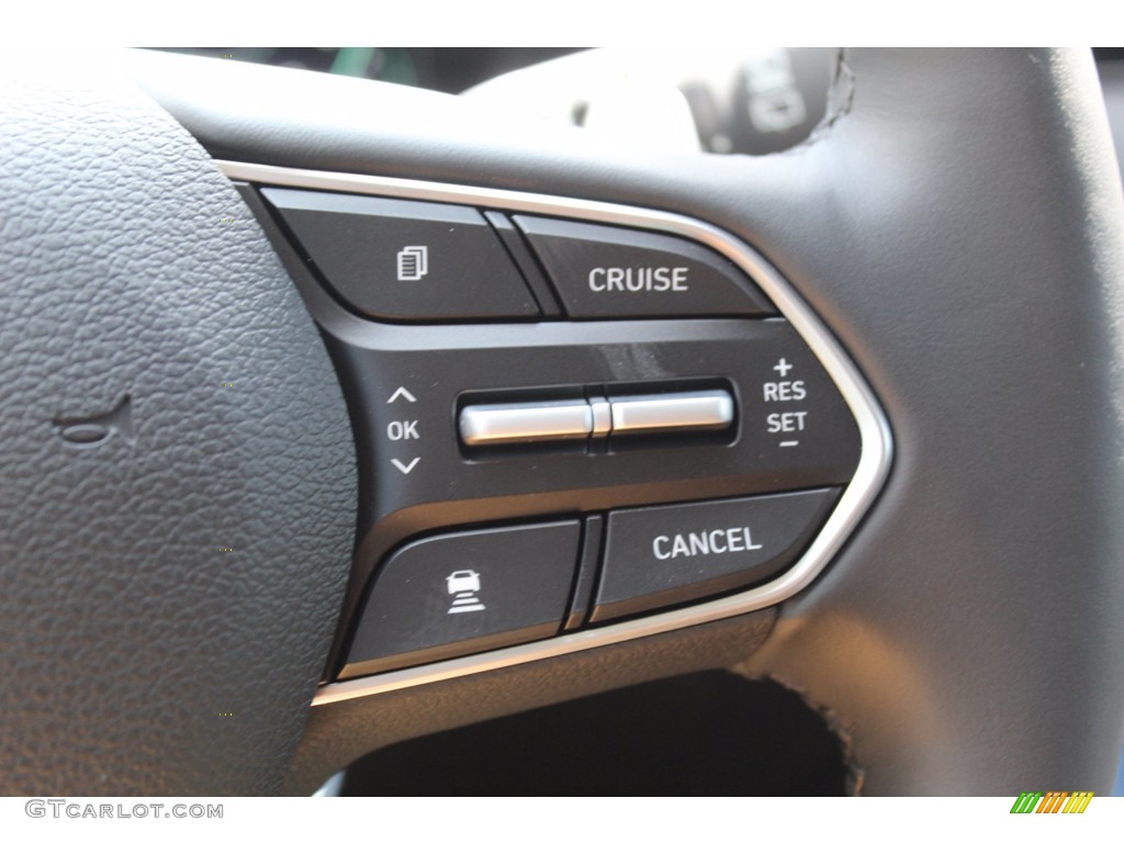 2021 Palisade Limited - Steel Graphite / Black photo #12