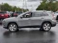 2020 Sting-Gray Jeep Cherokee Limited 4x4  photo #3