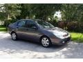 Liquid Grey Metallic - Focus ZTS Sedan Photo No. 18