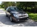 Liquid Grey Metallic - Focus ZTS Sedan Photo No. 20