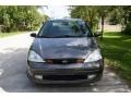 Liquid Grey Metallic - Focus ZTS Sedan Photo No. 21