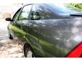 Liquid Grey Metallic - Focus ZTS Sedan Photo No. 25