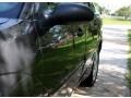 Liquid Grey Metallic - Focus ZTS Sedan Photo No. 26