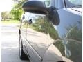 Liquid Grey Metallic - Focus ZTS Sedan Photo No. 27