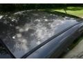 Liquid Grey Metallic - Focus ZTS Sedan Photo No. 28