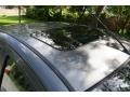 Liquid Grey Metallic - Focus ZTS Sedan Photo No. 29