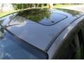 Liquid Grey Metallic - Focus ZTS Sedan Photo No. 30