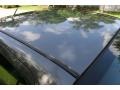 Liquid Grey Metallic - Focus ZTS Sedan Photo No. 31