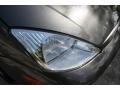 Liquid Grey Metallic - Focus ZTS Sedan Photo No. 33