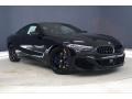 2021 Black Sapphire Metallic BMW 8 Series M850i xDrive Coupe  photo #19