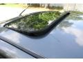 Liquid Grey Metallic - Focus ZTS Sedan Photo No. 39