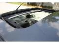 Liquid Grey Metallic - Focus ZTS Sedan Photo No. 41