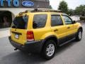 2003 Chrome Yellow Metallic Ford Escape XLT V6 4WD  photo #8