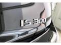 2019 Lexus IS 300 F Sport Badge and Logo Photo
