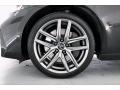 2019 Lexus IS 300 F Sport Wheel and Tire Photo