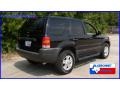 2004 Black Ford Escape XLT V6  photo #3